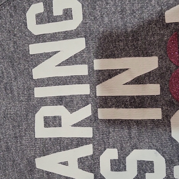 Victoria's Secret PINK Hoodie - Picture 10 of 15